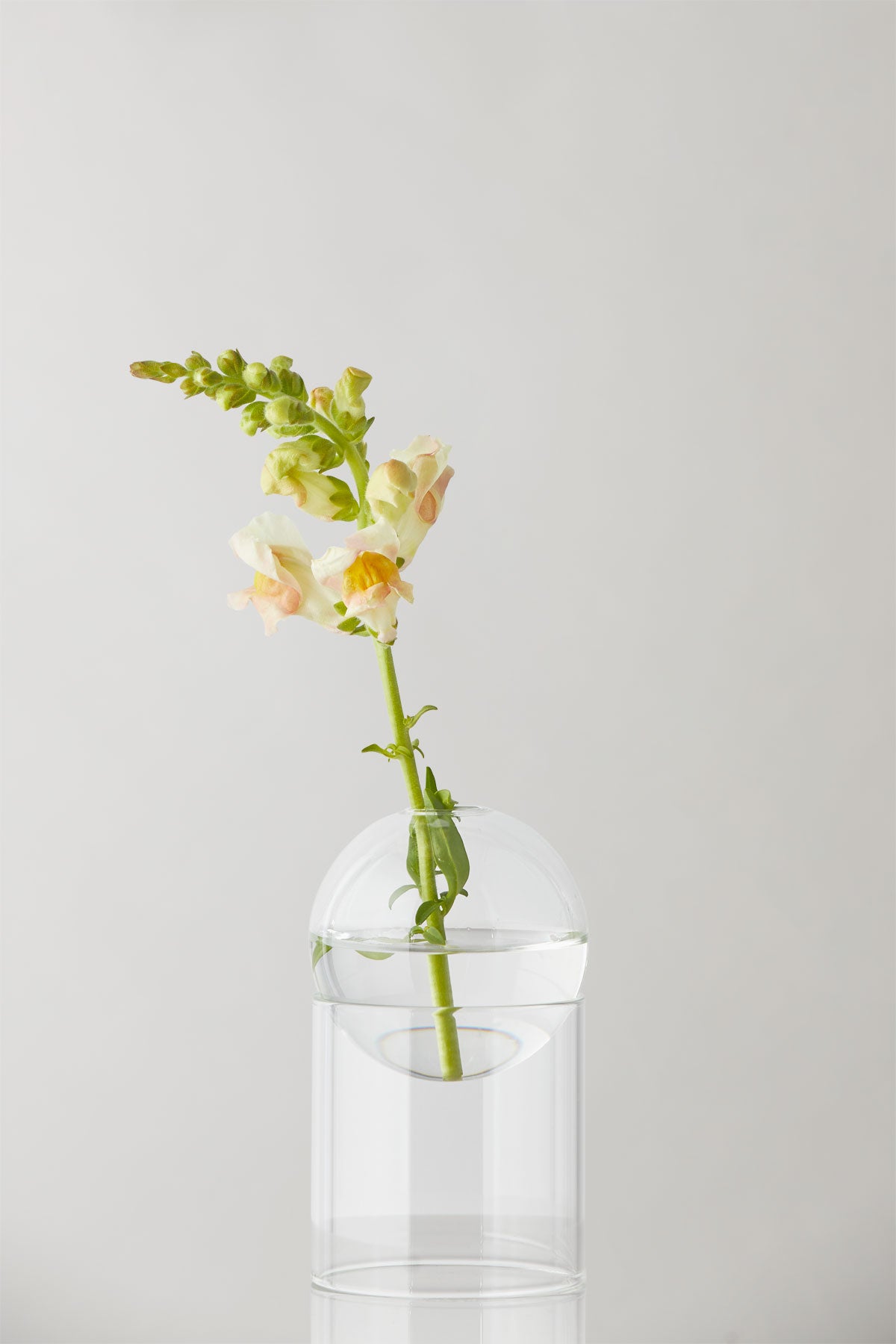 STANDING FLOWER BUBBLE, TALL TUBE, TRANSPARENT